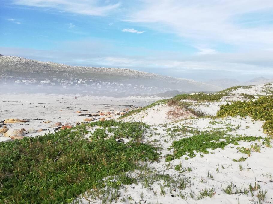 Serene Hide-Away With Ocean Views. Кейптаун Екстериор снимка